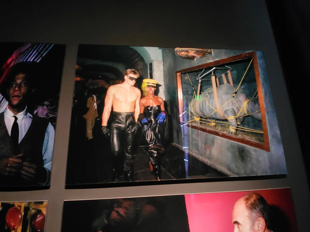 Basquiat Gallery Image 211